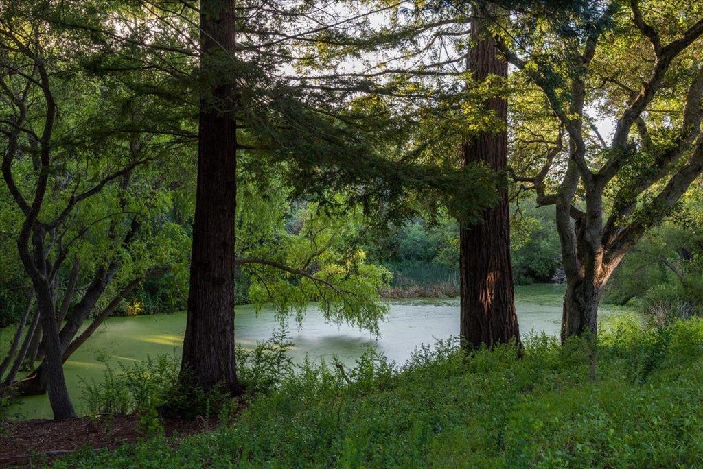 https://media.crmls.org/mediaz/ab95d577-0e02-4a4c-a562-41a033968b95.jpg?preset=X-Large