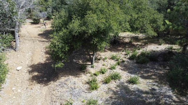 2716 Payson Dr, Julian CA: https://media.crmls.org/mediaz/ab992c23-ca1c-44e5-9634-9d0b88b603ba.jpg
