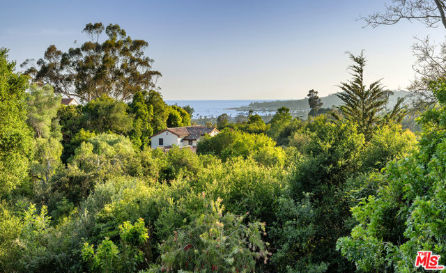 1029 Alston Road, Santa Barbara CA: https://media.crmls.org/mediaz/aba005a6-dfbe-4aaf-a1db-8e83782e4f02.jpg