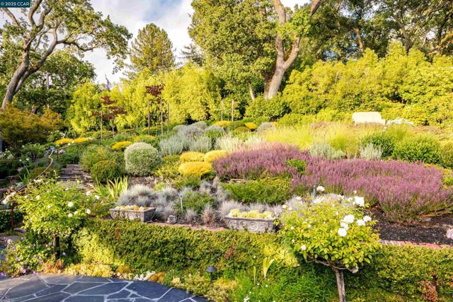 9 El Sueno, Orinda CA: https://media.crmls.org/mediaz/aba0e0a4-0839-4be3-ba0a-4287c494b429.jpg