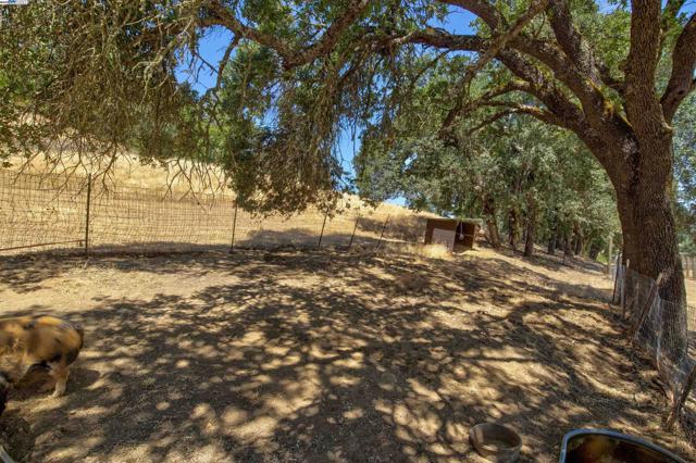 5281 Chiles Pope Valley Rd,  CA: https://media.crmls.org/mediaz/aba8d98d-21b7-4ced-af75-8d5d6bf35290.jpg