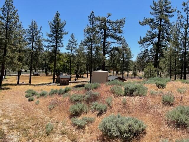 Image 5 of 8 For 59777 Ca-74