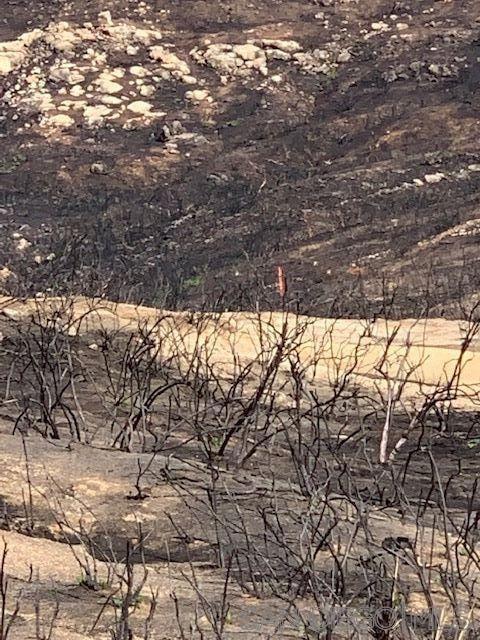 0 Bunny Dr.,  CA: https://media.crmls.org/mediaz/abb6e946-3c55-4668-97ef-3c89c9df99aa.jpg