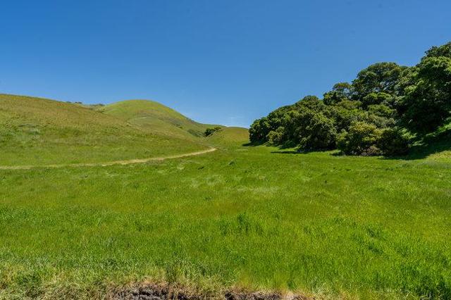 100 Old Stage Rd, San Juan Bautista CA: https://media.crmls.org/mediaz/abb7cb3c-ece1-4e90-ae5c-74ba806c68ab.jpg