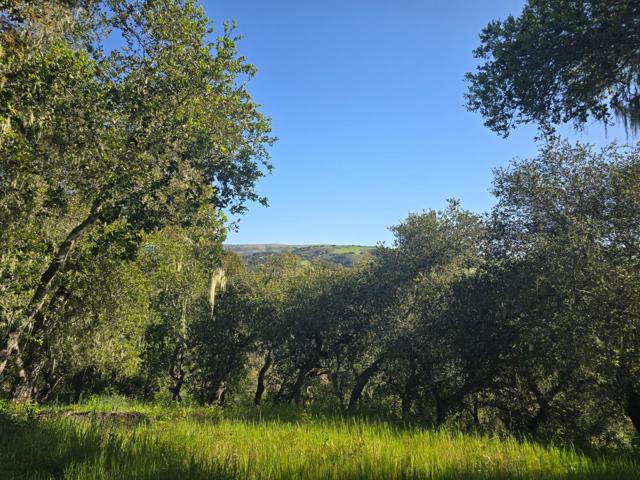 16 SLEEPY HOLLOW DRIVE, Carmel Valley CA: https://media.crmls.org/mediaz/abb8c935-0131-407d-b3b3-41fbedf2c780.jpg
