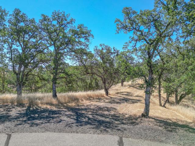 0 Wood Duck Pass Road, Red Bluff CA: https://media.crmls.org/mediaz/abbd868d-acff-4fe7-acfc-150608f61749.jpg