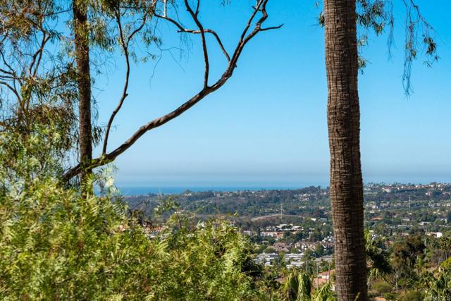 Detail Gallery Image 24 of 27 For 7323 Calle Luna, Carlsbad,  CA 92009 - 2 Beds | 2 Baths