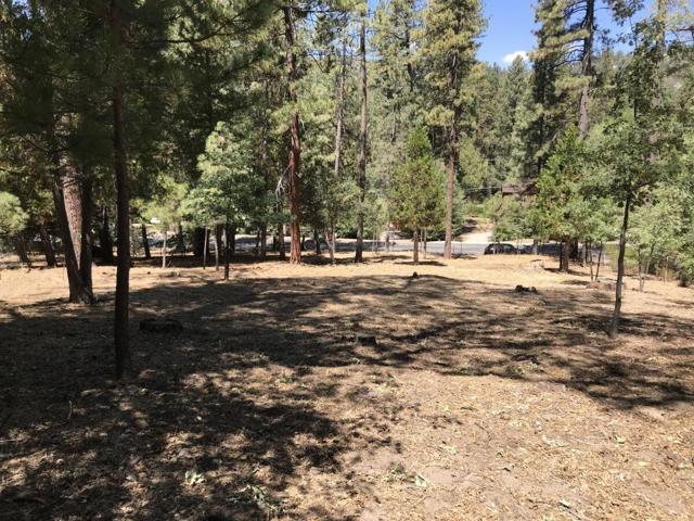 0 Tollgate Road, Idyllwild CA: https://media.crmls.org/mediaz/abc12b08-b25b-4e4e-af62-e1a21a1d7461.jpg