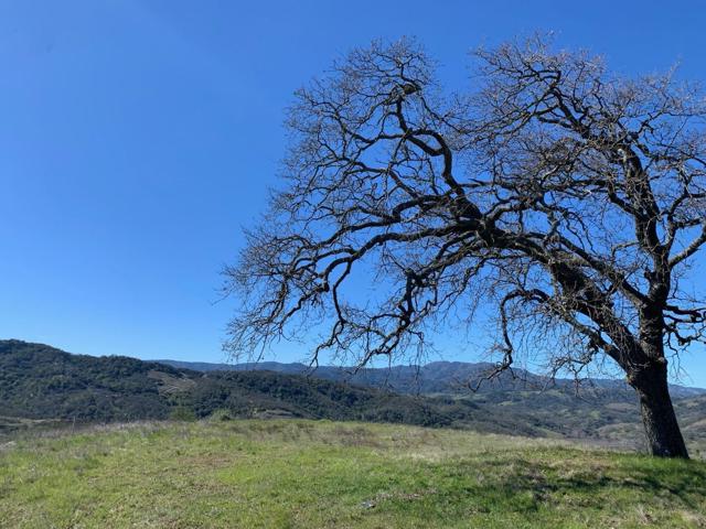0 Oak Glen Avenue, Morgan Hill CA: https://media.crmls.org/mediaz/abc723b1-c0cc-450c-b509-ffa97ca2bb51.jpg