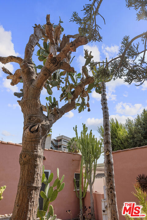 931 S Ogden Drive, Los Angeles CA: https://media.crmls.org/mediaz/abd09aee-5b63-4f58-a23e-8f3424735be4.jpg