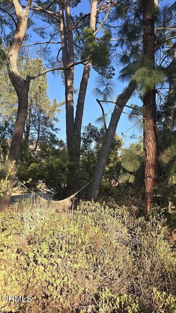 Detail Gallery Image 52 of 58 For 1450 Mcandrew Rd, Ojai,  CA 93023 - 4 Beds | 2 Baths