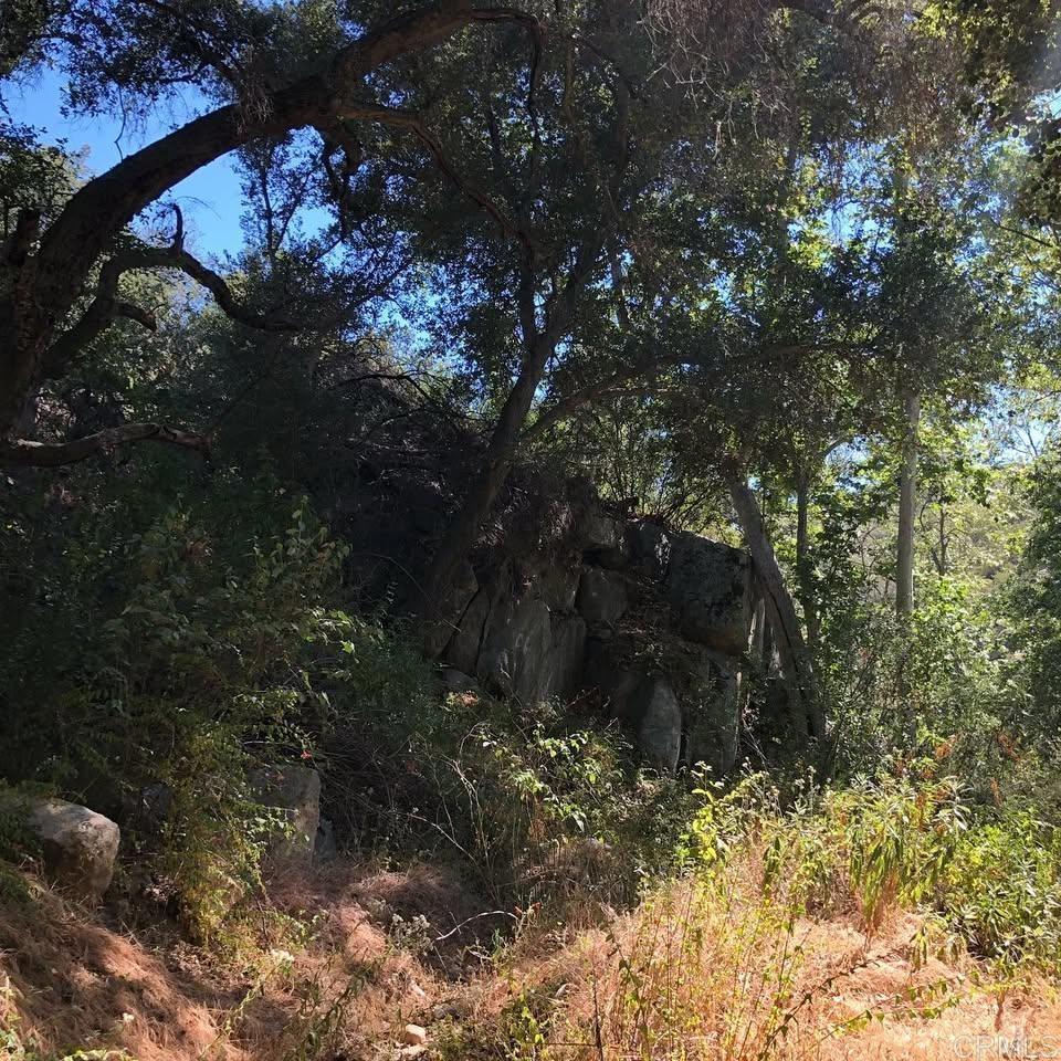 MLS #NDP2403618 image #18