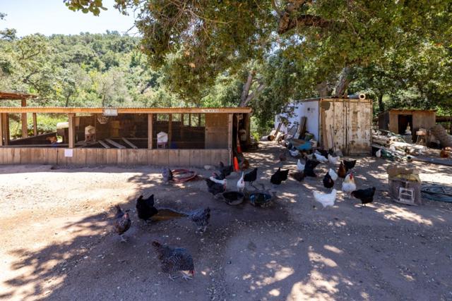 20215 Cachagua Road, Carmel Valley CA: https://media.crmls.org/mediaz/abe04426-4f45-44c8-b460-0de96b5957db.jpg