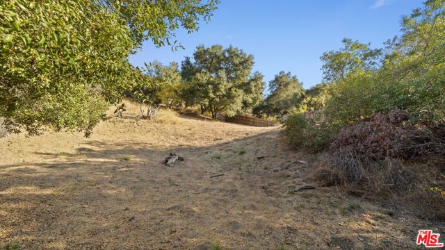 16645 Calneva Drive, Encino CA: https://media.crmls.org/mediaz/abedc80e-f88c-4ca8-bb19-17d83d39dc36.jpg