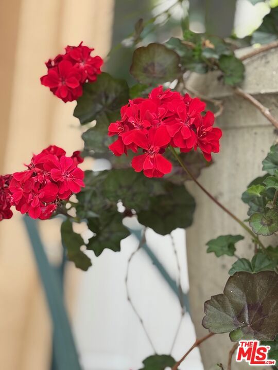 19 Imperial Aisle, Irvine CA: https://media.crmls.org/mediaz/abf45fc4-8eda-481a-aa18-1e2665b5fc00.jpg