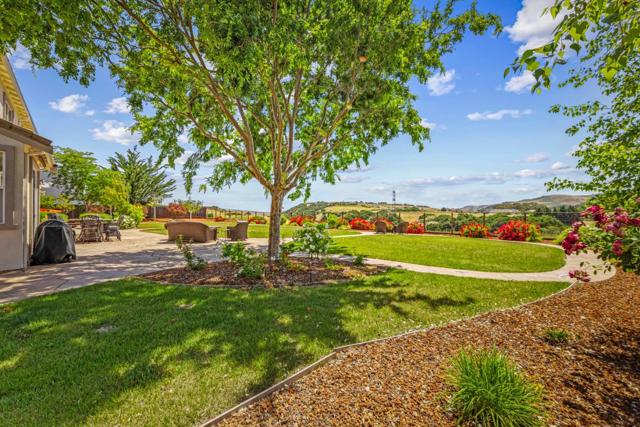 531 Via Vaquero Sur, San Juan Bautista CA: https://media.crmls.org/mediaz/abf66427-575d-4b60-acaf-3697ab929fc4.jpg