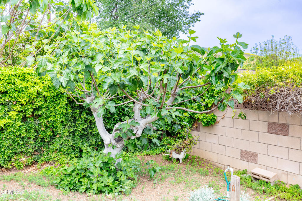 https://media.crmls.org/mediaz/ac016c3c-f344-4ba6-b0cd-8c74fbbaff56.jpg?preset=X-Large