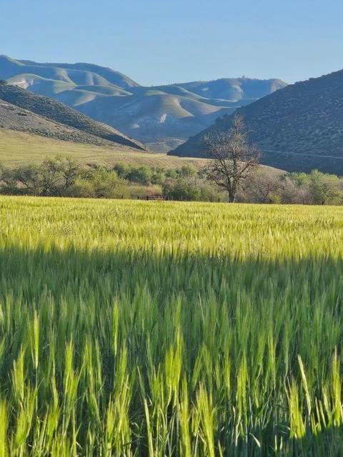 54800 Lonoak Road, King City CA: https://media.crmls.org/mediaz/ac028ce2-f314-47d8-8253-f96face76358.jpg