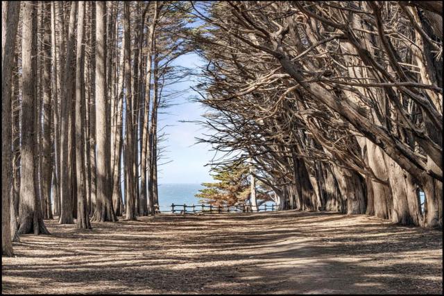 263 Nevada Avenue, Moss Beach CA: https://media.crmls.org/mediaz/ac09dc76-9e71-48fa-9edc-f926633ac448.jpg