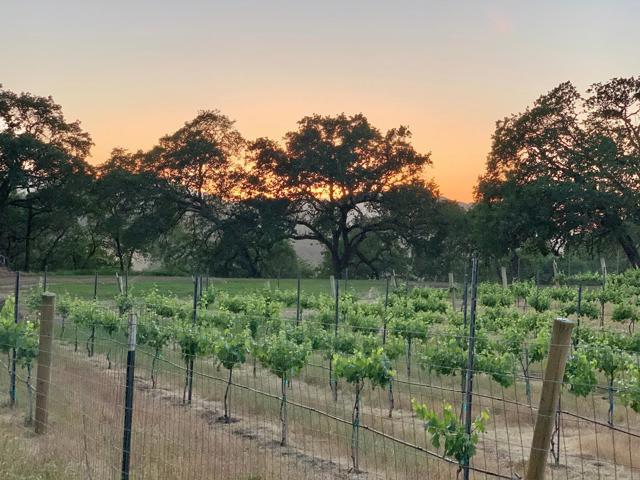 0 Hayes Lane, San Martin CA: https://media.crmls.org/mediaz/ac0ce29c-109c-453f-a141-e1b034dfd096.jpg