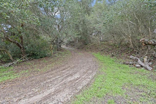 0 Campagna Way, Royal Oaks CA: https://media.crmls.org/mediaz/ac12c1df-ea59-4ff5-bebd-ee795da22f5c.jpg