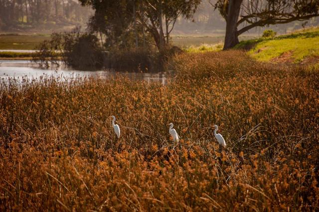 Image 17 of 23 For 967 Salinas Road