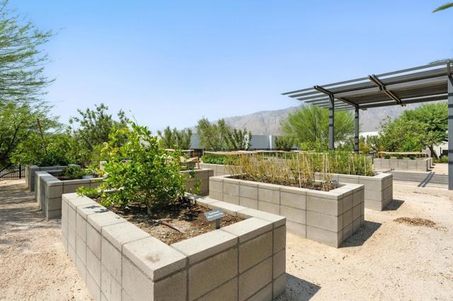 Detail Gallery Image 39 of 52 For 455 Palladium Bld, Palm Springs,  CA 92262 - 3 Beds | 3/1 Baths