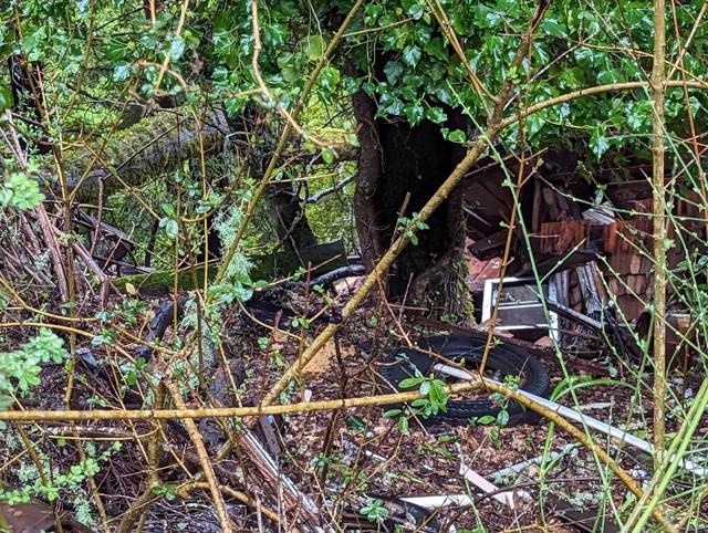 MLS #ML81963088 image #8