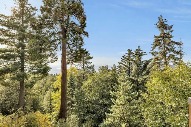 25281 Deer Path, Idyllwild CA: https://media.crmls.org/mediaz/ac3e1c71-2f11-46eb-a612-aba1aa1b8334.jpg