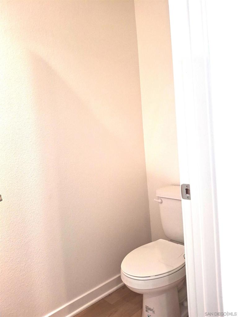 2586 Delphinium - photo 11