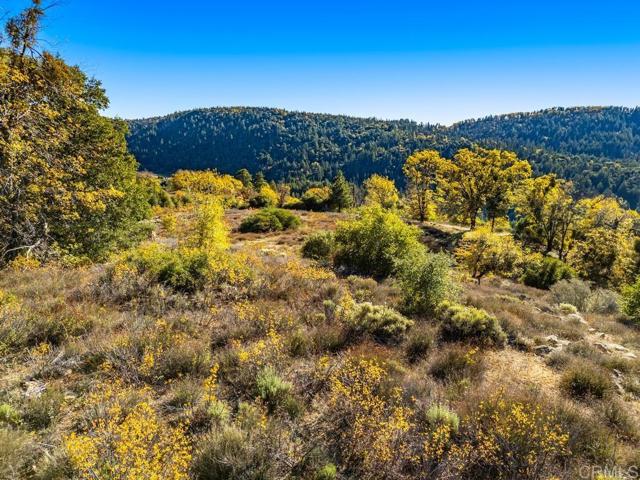 Detail Gallery Image 31 of 33 For 0 State Park Rd, Palomar Mountain,  CA 92060 - – Beds | – Baths
