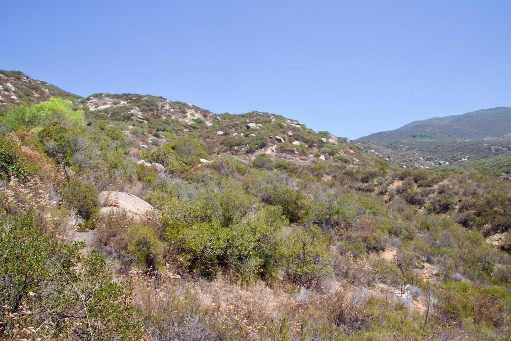 MLS #250035511SD image #55