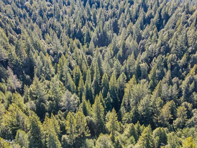 0 Irmulco Road, Willits CA: https://media.crmls.org/mediaz/ac5d77bc-4dc4-4e52-8854-84c8f2ba2b3b.jpg
