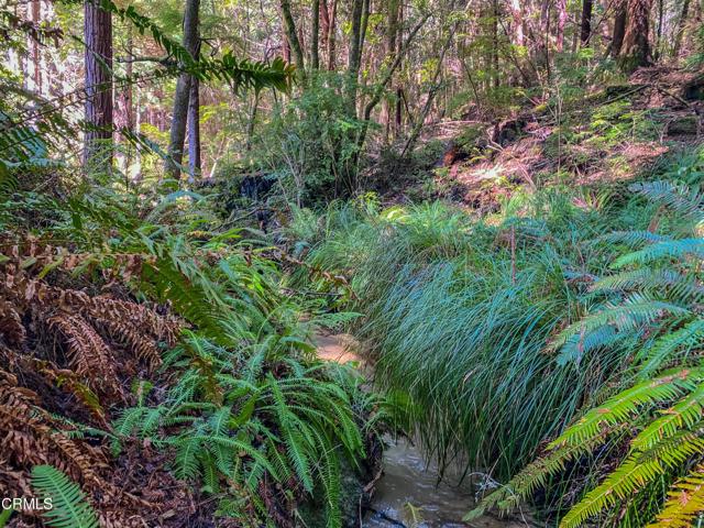 15137 Mitchell Creek Drive, Fort Bragg CA: https://media.crmls.org/mediaz/ac663beb-2fd6-4993-867a-6361af377fad.jpg