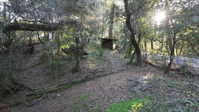 5051 Harrison Grade Rd, Sebastopol CA: https://media.crmls.org/mediaz/ac6ed6a0-7328-4fd0-b5e3-33105b1371d2.jpg