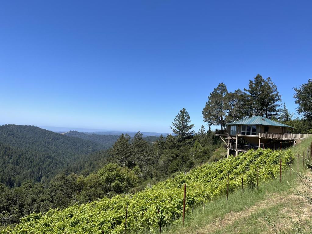 351 Canyon Vista