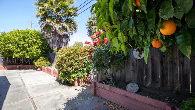 602 Chesterton Avenue, Belmont CA: https://media.crmls.org/mediaz/ac81aed6-528f-4ece-9c3e-948f96691661.jpg
