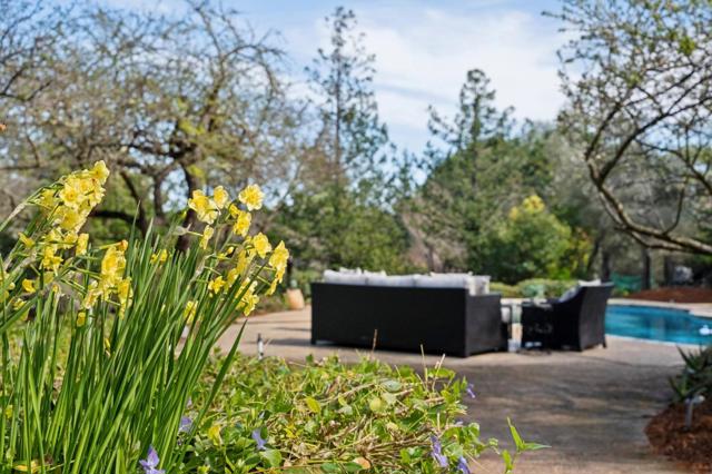 18074 Daves Avenue, Monte Sereno CA: https://media.crmls.org/mediaz/ac8d9cbb-a193-4a75-9483-7e2a107cf022.jpg