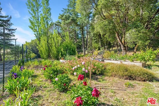 20799 Highway 128, Yorkville CA: https://media.crmls.org/mediaz/ac957f91-35cd-41fa-9c47-4e91029154bd.jpg