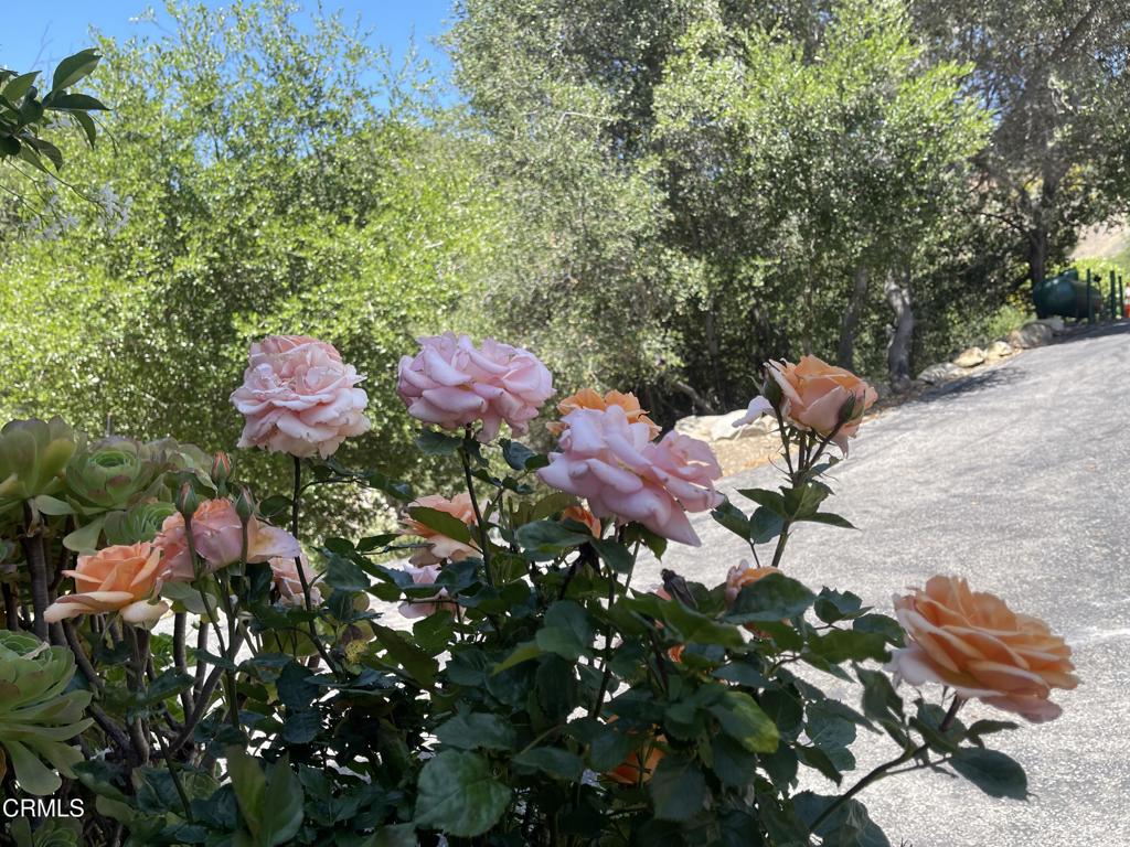 https://media.crmls.org/mediaz/ac976fea-42d8-42b9-a449-bc130855796d.jpg?preset=X-Large