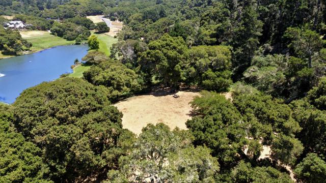5496 Quail Meadows Drive, Carmel Valley CA: https://media.crmls.org/mediaz/aca54e15-64d4-42b5-8ab8-ca3e1a8c8907.jpg