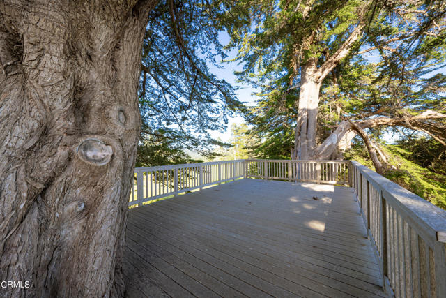 Detail Gallery Image 21 of 36 For 32550 Navarro Ridge Rd, Albion,  CA 95410 - – Beds | – Baths