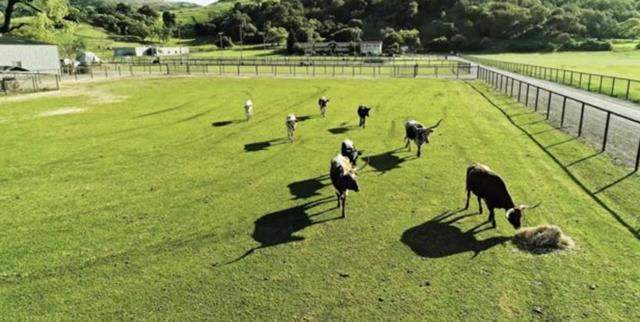 19963 Hale Avenue, Morgan Hill CA: https://media.crmls.org/mediaz/acb7a6e2-e6a6-4a50-9caa-5e5094a88736.jpg