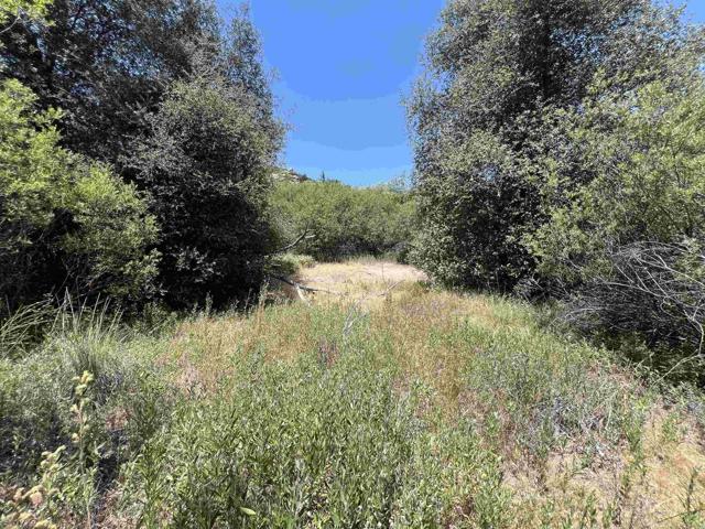 Detail Gallery Image 16 of 17 For Riverside Dr, Descanso,  CA 91916 - – Beds | – Baths