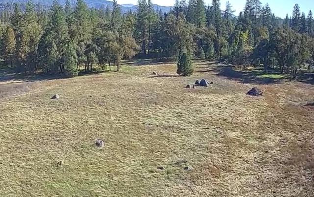 2795 State Highway 49, Mariposa CA: https://media.crmls.org/mediaz/acd087d6-fdaf-464b-82a6-719b0385f7da.jpg