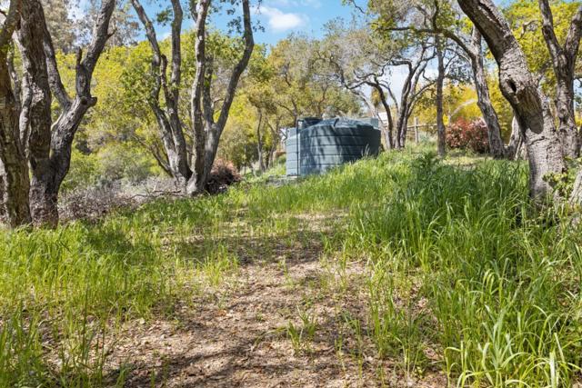 280 Petery Lane, Aptos CA: https://media.crmls.org/mediaz/acd3a87a-1b89-453a-80e4-4965257e2fe5.jpg