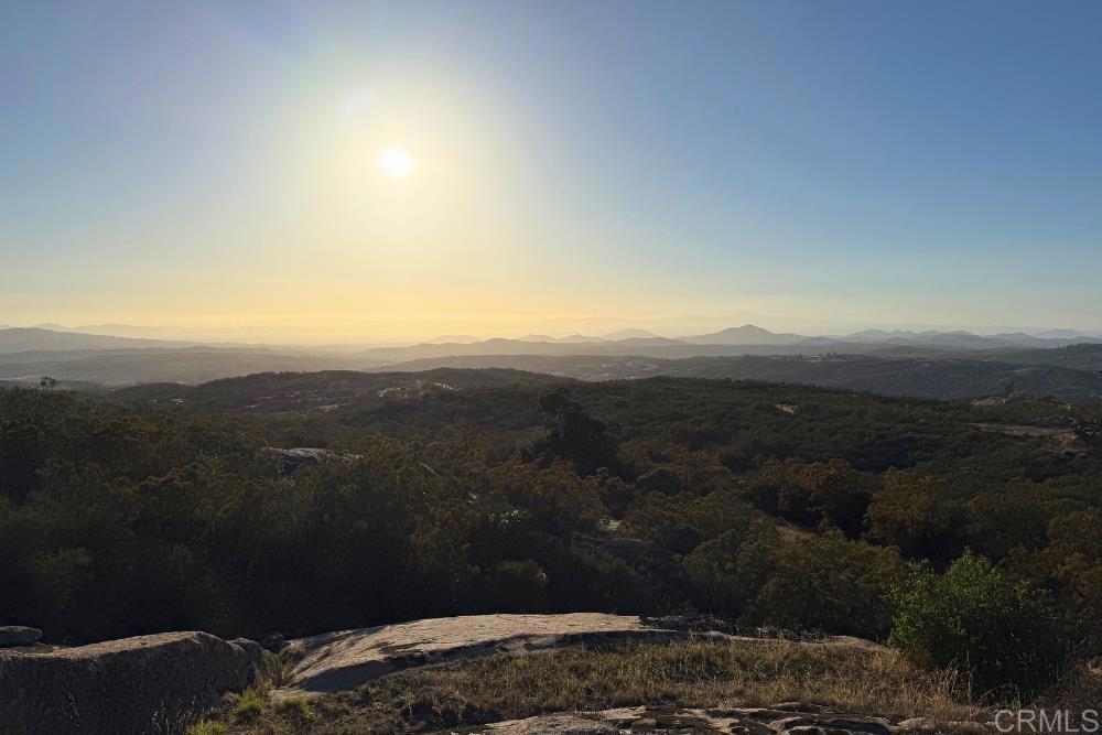 MLS #PTP2507282 image #25