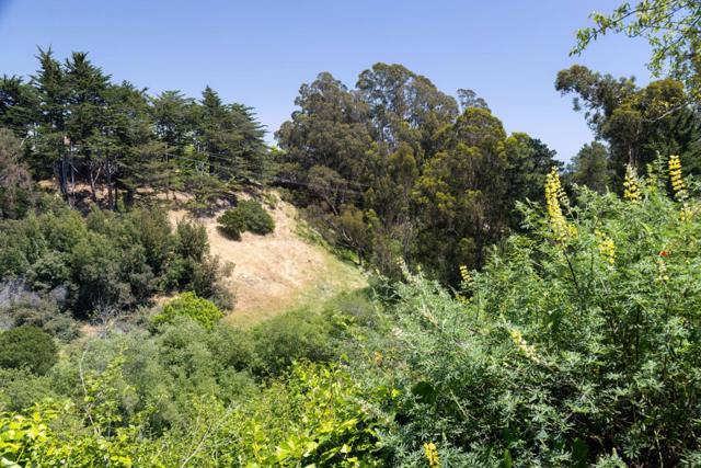 120 Alamo Avenue, Santa Cruz CA: https://media.crmls.org/mediaz/acea694a-c098-4a79-a55e-734d66676ccd.jpg