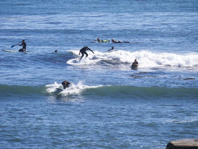 917 Sir Francis Avenue, Capitola CA: https://media.crmls.org/mediaz/acfb6ec4-6534-4b5f-9b70-858db9051845.jpg