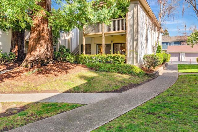 50 Horgan Avenue, Redwood City CA: https://media.crmls.org/mediaz/acfe8cec-1e7d-4653-84dd-b833b61584ee.jpg